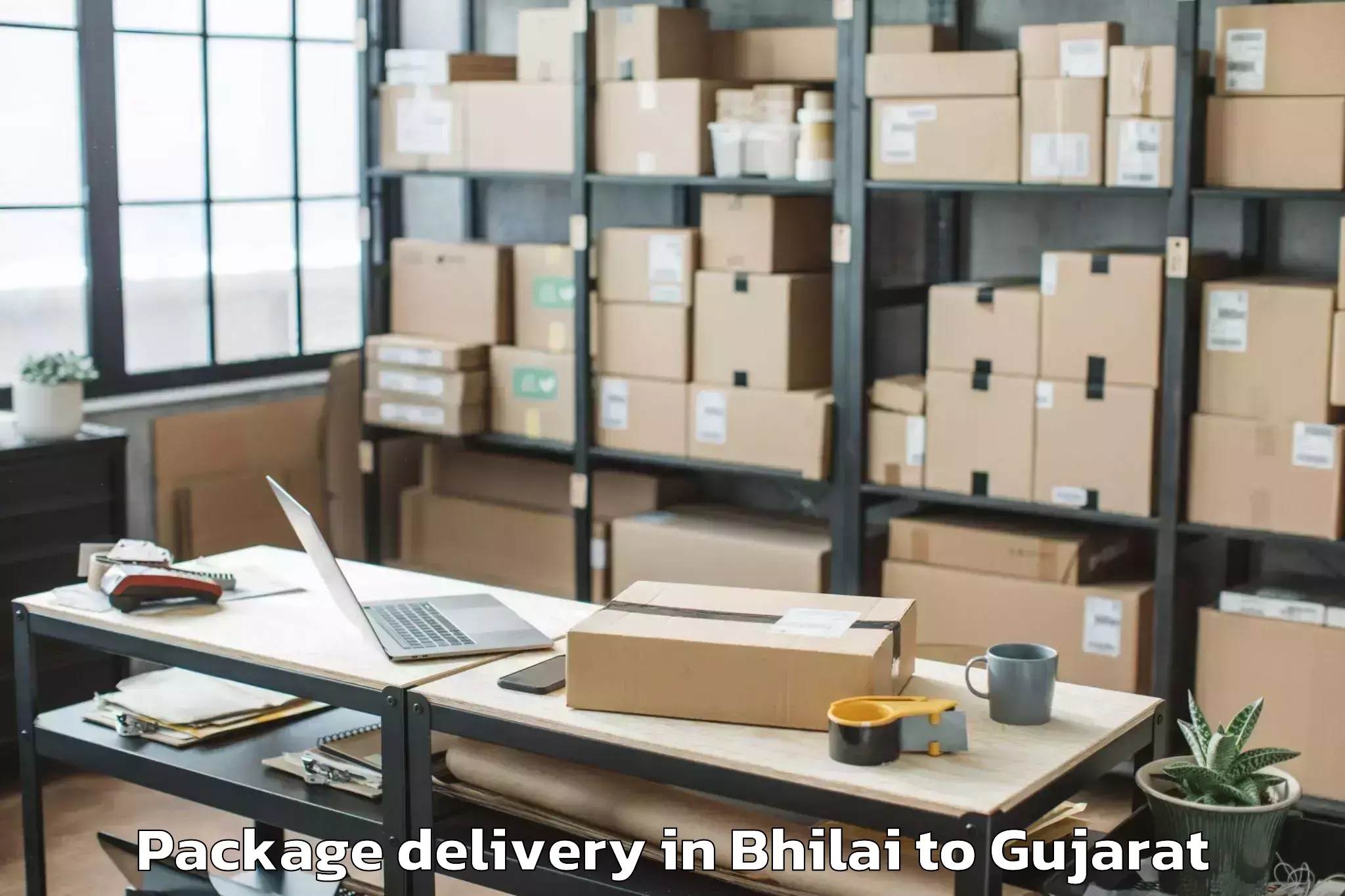 Professional Bhilai to Ambaji Package Delivery